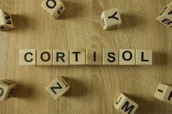 The Hidden Connection: How Stress Shapes Your Fitness and Body Composition 2 Image saying "Cortisol" and how stress Rushden impacts your wellbeing and bodies shape